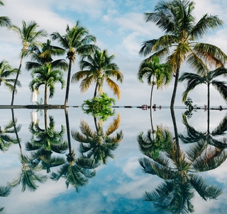 Klassisk Safari Kenya og Mauritius