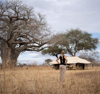 Lemosho-ruten og safari