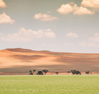 Cape Town og Namibia