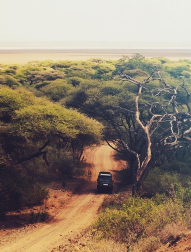 Ngorongorokrateret, Serengeti og Zanzibar