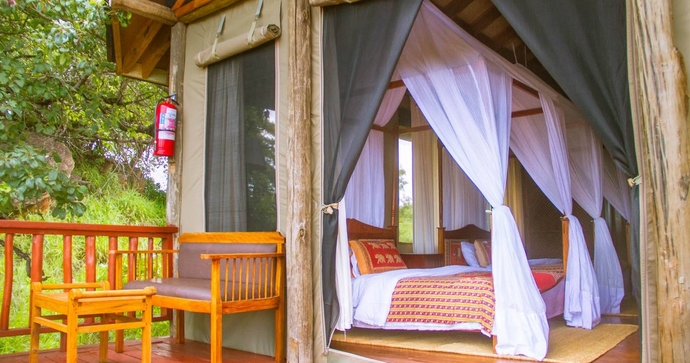 Tarangire Elephant Rock 