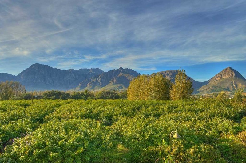 Smukke udsigter over vinomr&aring;det. En udflugt til vinomr&aring;det passer b&aring;de store og sm&aring;!