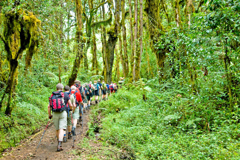 De bedste tidspunkter for bestigning