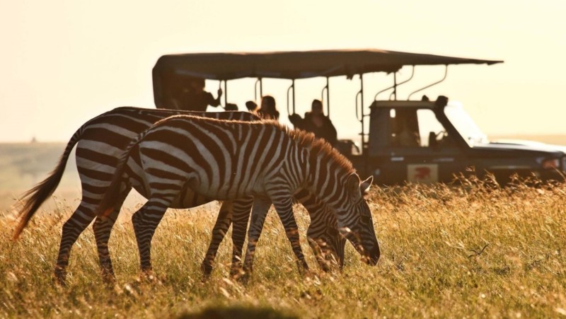 Kloge pakketips f&oslash;r du rejser