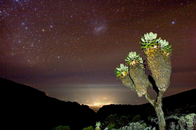 Forberedelse til Kilimanjaro-bestigning
